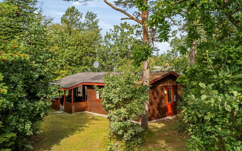Friis - 100M from the Sea: Boom, Hout, Verblijf, Struik, Huis, Landelijk Gebied, Land Lot, De Lente, Tuin, Garden Gebouwen