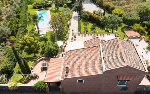 Oasi Verde - Santa Maria La Stella, Sicilia: Fabriek, Gebouw, Eigendom, Venster, Plantkunde, Stedelijk Ontwerp, Boom, Vegetation, Land Lot, Biome