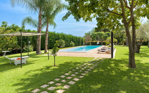 Oasi Verde - Santa Maria La Stella, Sicilia: Fabriek, Water, Lucht, Zwembad, Boom, Schaduw, Buitenmeubels, Land Lot, Vrije Tijd, Arecales