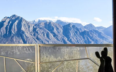 Accommodatie:&nbsp;Xino Terrace View 100.2