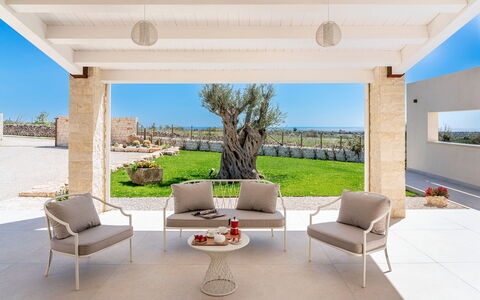 Villa Argento - Rosolini, Sicilia: Meubilair, Eigendom, Fabriek, Lucht, Stoel, Schaduw, Tafel, Interieur Ontwerp, Verdieping, Flooring