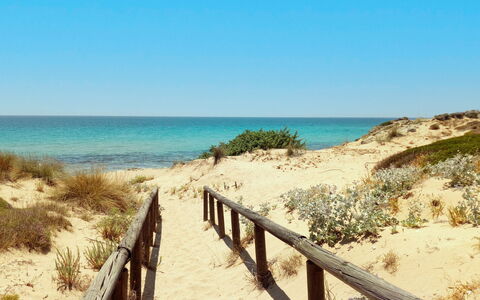 Villa Trullo - Torricella, Puglia: Lucht, Water, Fabriek, Plantengemeenschap, Azure, Hek, Natuurlijk Landschap, Boom, Kust En Oceanic Landvormen, Strand