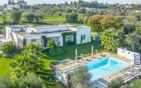 Masseriola Di Puglia: Fabriek, Gebouw, Boom, Plantkunde, Land Lot, Venster, Stedelijk Ontwerp, Woongebied, Buurt, Huis