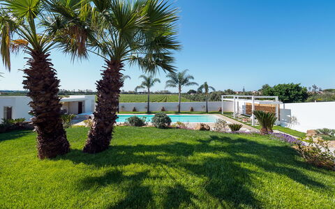 Casa Ocra - Misiliscemi, Sicilia: Lucht, Fabriek, Boom, Land Lot, Vegetation, Arecales, Schaduw, Plantendiversiteit, Landschap, Gras