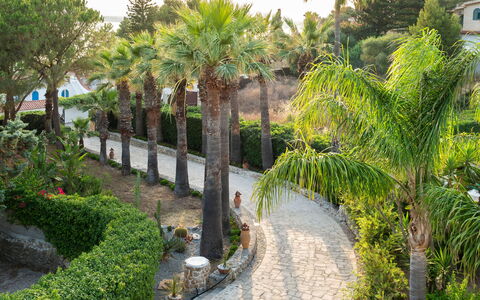 Villa Diamante - Siracusa, Sicilia: Fabriek, Plantengemeenschap, Gebouw, Plantkunde, Boom, Vegetation, Arecales, Venster, Plantendiversiteit, Woody Plant