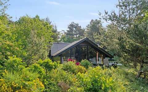Fietje - 200M from the Sea: Sneeuw, Winter, Hout, Verblijf, Huis, Dak, Hut, Huis, Freezing, Blokhut