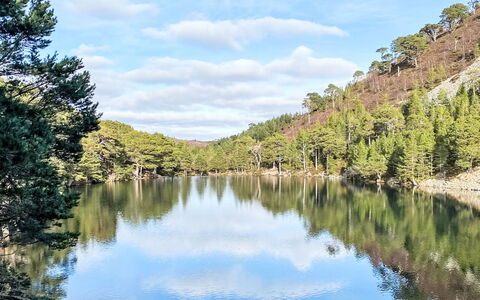 Falcon Lodge: Water, Watervoorraden, Zwemwater, Natuur, Natuurlijk Landschap, Waterloop, Reflectie, Bank, Meer, Wildernis