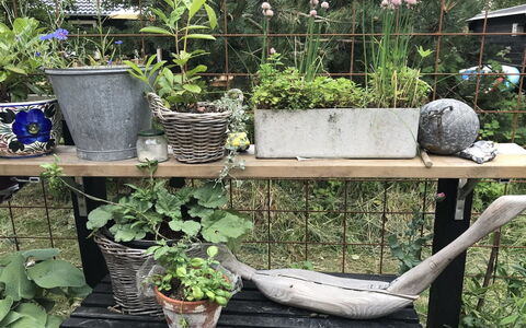 Elisa - 600M from the Sea: Bloempot, Tuin, Kamerplant, Natuurlijk Materiaal, Backyard, Werf, Kruid, Pottenbakkerij