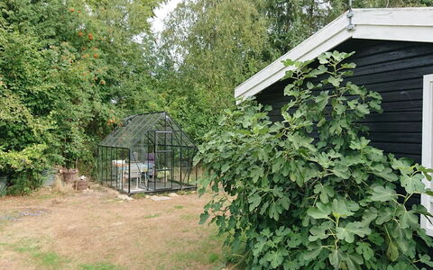 Elisa - 600M from the Sea: Struik, Tuin, Backyard, Garden Gebouwen, Werf, Schuur, Landscaping, Plantage, Kruid