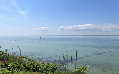 Jovana - 40M from the Sea: Huis, Huis, Deur, Dak, Verblijf, Landgoed, Tuin, Schaduw, Siding, Werf