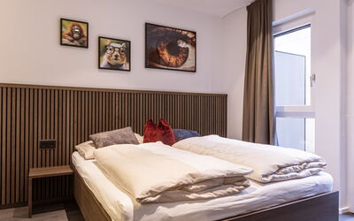 Accommodatie:&nbsp;Superiormit 1 Schlafzimmer 2-4 Personen 500.3