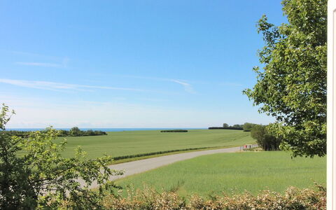 Albertine - 600M from the Sea: Dak, Huis, Land Lot, Huis, Verblijf, Landgoed, Garden Gebouwen, Schaduw, Blokhut, Landscaping