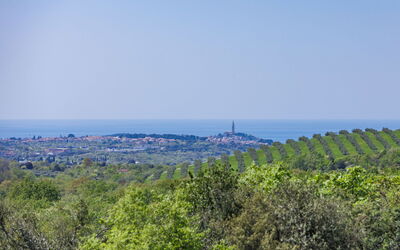 Villa Selagodi