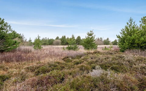 Elpida - 2Km from the Sea: Dak, Huis, Huis, Verblijf, Deur, Siding, Dek, Veranda, Plank, Hardwood