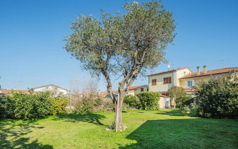 La Casa dei Limoni di Valeria: Lucht, Fabriek, Dag, Natuurlijk Landschap, Gebouw, Boom, Land Lot, Zonlicht, Gras, Buurt