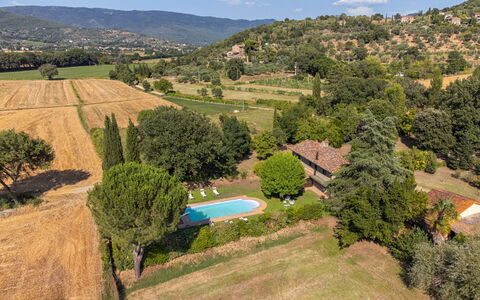 Villa Marconi: Fabriek, Wolk, Plantengemeenschap, Lucht, Ecoregio, Natuurlijk Landschap, Natuurlijke Omgeving, Boom, Vegetation, Land Lot