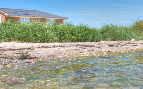 Volmar - 10M from the Sea: Blauw, Struik, Verblijf, Groundcover, Tuin, Landgoed, Schaduw, Landscaping, Boerderij, Eco Hotel
