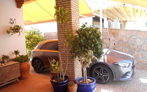 Apartamento Playa De Regla: Wiel, Fabriek, Auto, Eigendom, Bloempot, Voertuig, Autoband, Kamerplant