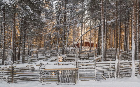 Puljunharju: Meubilair, Stoel, Buitenmeubels, Tafel, Hout, Buitentafel, Keuken En Eettafel, Schaduw, Tuin, Paraplu