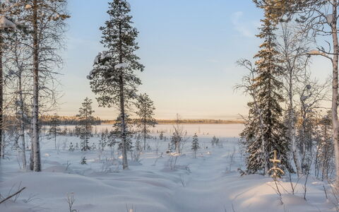 Puljunharju: Meubilair, Stoel, Buitenmeubels, Tafel, Hout, Buitentafel, Keuken En Eettafel, Schaduw, Tuin, Paraplu