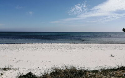 Josie - 700M from the Sea