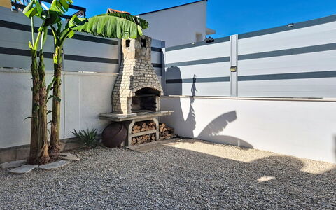 Vili: Schaduw, Tuin, Beton, Landscaping, Binnenplaats, Werf, Backyard, Kamerplant
