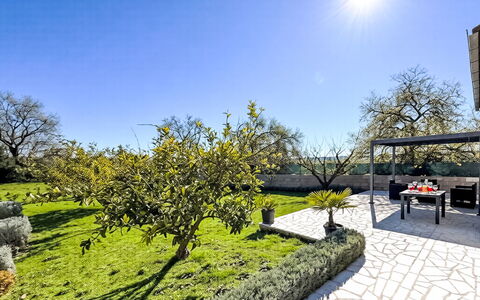 Ivan: Struik, Tuin, Groundcover, Landscaping, Schaduw, Gazon, Werf, Backyard, Gang, Park