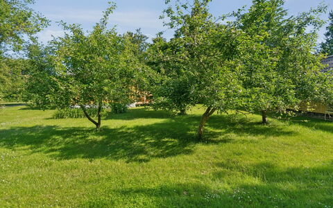 Lennart - 4Km from the Sea: Blauw, Struik, Verblijf, Groundcover, Tuin, Landgoed, Schaduw, Landscaping, Boerderij, Eco Hotel