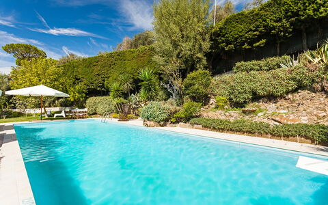 Villa Il Sole Di Sorrento: Water, Fabriek, Wolk, Zwembad, Lucht, Blauw, Natuur, Azure, Schaduw, Boom