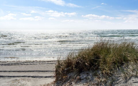 Baarde - 60M from the Sea: Dak, Huis, Deur, Verblijf, Schaduw, Siding, Werf, Landgoed, Backyard