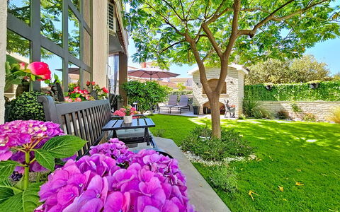 Id&La: Bloem, Tuin, Struik, De Lente, Groundcover, Gazon, Werf, Landscaping, Backyard