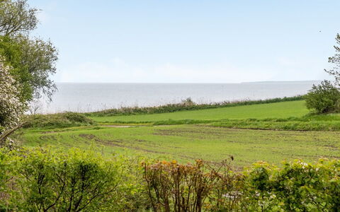 Venla - 150M from the Sea: Blauw, Groen, Gras, Natuurlijk Landschap, Vegetation, Grasland, Horizon, Zomer, Ecoregio, Zee