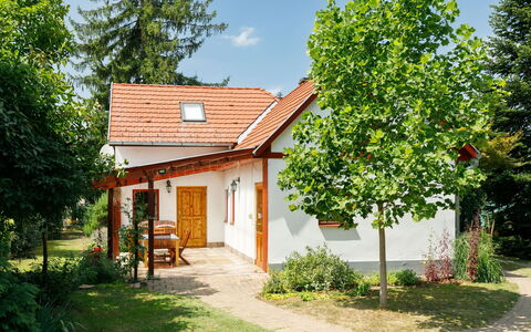 Magnolia: Fabriek, Gebouw, Eigendom, Venster, Lucht, Natuur, Wolk, Boom, Huis, Land Lot