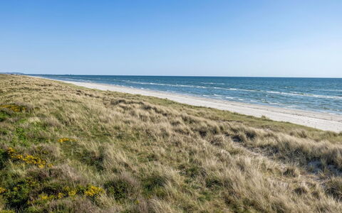 Einette - 100M from the Sea: Huis, Huis, Dak, Verblijf, Landgoed, Landscaping, Garden Gebouwen, Siding, Boerderij