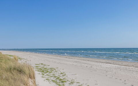 Einette - 100M from the Sea: Huis, Huis, Dak, Verblijf, Landgoed, Landscaping, Garden Gebouwen, Siding, Boerderij