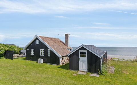 Ofrath - 5M from the Sea: Gras, Grasland, Landschap, Ecoregio, Plain, Plantengemeenschap, Land Lot, Buitenmeubels, Prairie, Shrubland