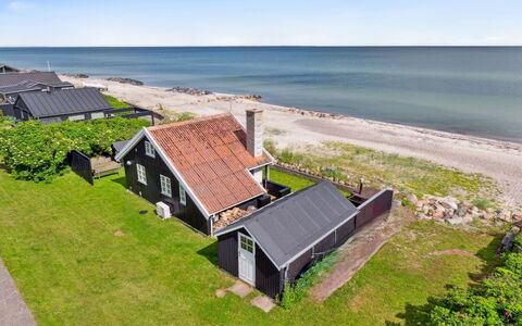 Ofrath - 5M from the Sea: Gras, Grasland, Landschap, Ecoregio, Plain, Plantengemeenschap, Land Lot, Buitenmeubels, Prairie, Shrubland
