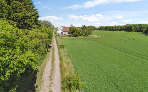 Antonina - 1.5Km from the Sea: Groen, Gras, Boom, Grasland, Natuurlijk Landschap, Veld, Zomer, Plain, Landschap