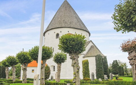 Antonina - 1.5Km from the Sea: Gras, Struik, De Lente, Haag, Tuin, Spire, Landscaping