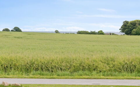 Sebine - 800M from the Sea: Dak, Huis, Huis, Verblijf, Deur, Siding, Dek, Veranda, Plank, Hardwood