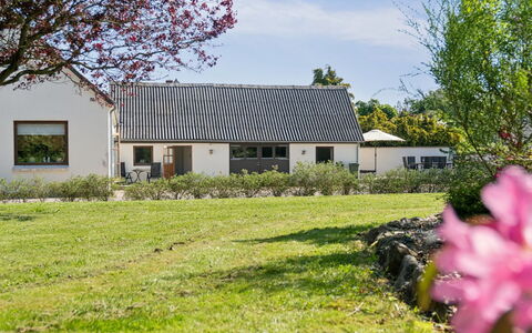 Teodora - 3Km from the Sea: Gras, Grasland, Landschap, Ecoregio, Plain, Plantengemeenschap, Land Lot, Buitenmeubels, Prairie, Shrubland