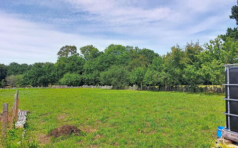 Ty Pjp: Boom, Gras, Groen, Grasland, Pasture, Plain, Land Lot, Veld, Wolk, Landelijk Gebied