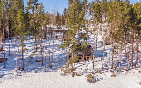 Villa Luoto: Boom, Afdeling, Hout, Winter, Sneeuw, Woud, Freezing, Bos, Trunk