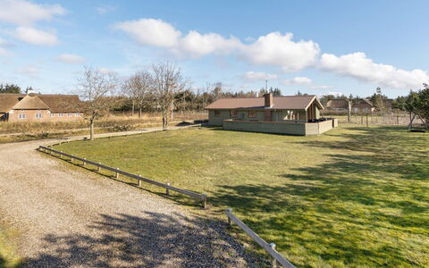 Frille - 200M from the Sea: Gras, Grasland, Landschap, Ecoregio, Plain, Plantengemeenschap, Land Lot, Buitenmeubels, Prairie, Shrubland