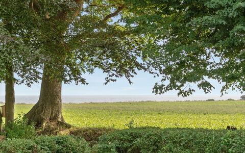 Francis - 300M from the Sea: Hout, Dak, Architectuur, Huis, Huis, Verblijf, Siding, Hardwood, Helling, Landgoed