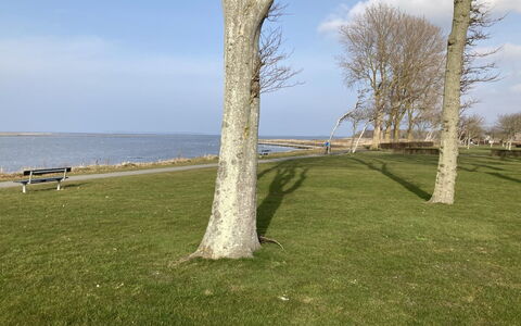 Ala - 80M from the Sea: Meubilair, Interieur Ontwerp, Flooring, Verdieping, Plafond, Kamer, Stoel, Tafel, Appartement, Keuken En Eettafel