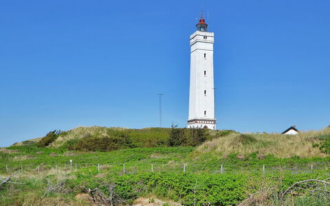 Joachim - 200M from the Sea: Dak, Huis, Huis, Verblijf, Deur, Siding, Dek, Veranda, Plank, Hardwood