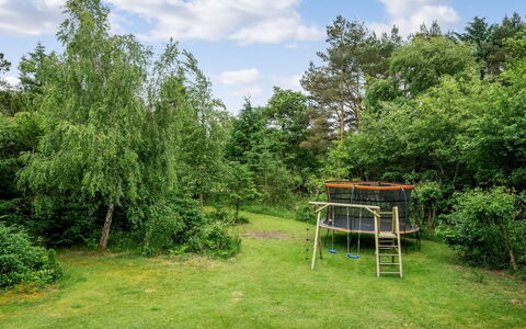 Atla - 2.5Km from the Sea: Gras, Struik, Tuin, Land Lot, Gazon, Weide, Pasture, Bos, Schaduw