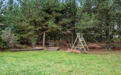 Mart - 1.6Km from the Sea: Gras, Trunk, Woody Plant, Bos, Tuin, Bodem, Park, Gazon, Lariks