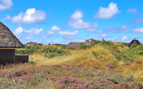 Kajin - 200M from the Sea: Hout, Dak, Architectuur, Huis, Huis, Verblijf, Siding, Hardwood, Helling, Landgoed